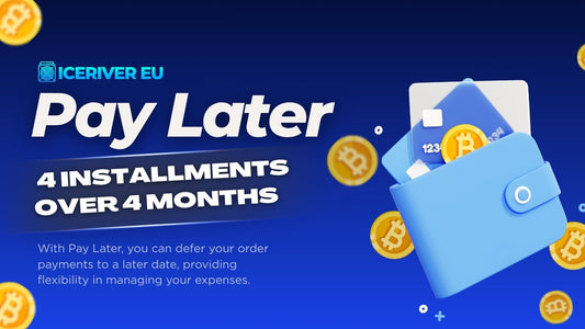 Pay Later: 4 Installments over 4 Months